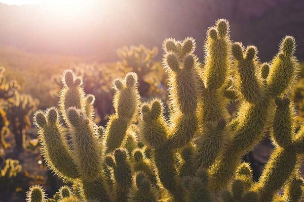 Ticaret Bakanlığı: 19 serbest bölgeden yapılan ihracat kasım ayında yüzde 2,7 arttı