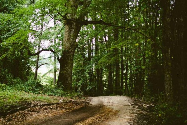 Allianz, reasürans Syndicate 1890’ı kurmak için Oaktree ile ortaklık kurdu