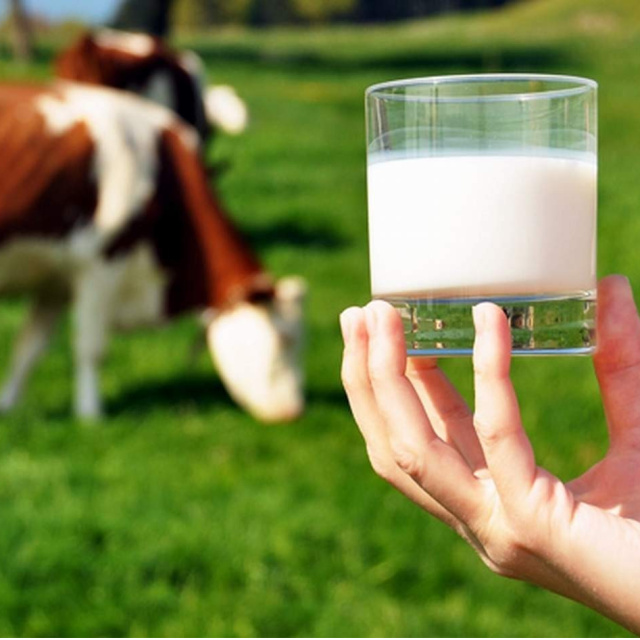 USK çiğ süt tavsiye satış fiyatını 2,08 TL artırdı