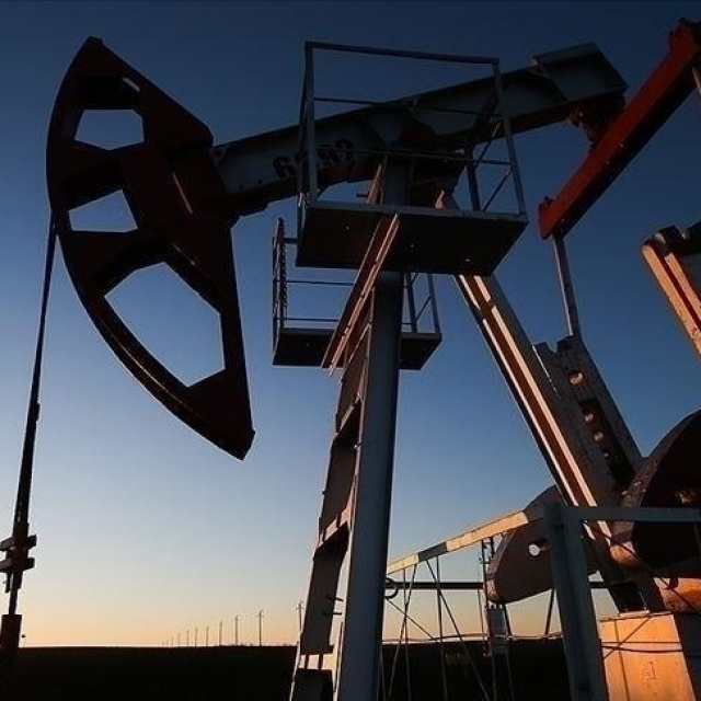OPEC+ üyesi yedi ülkeden üretim artış kararı