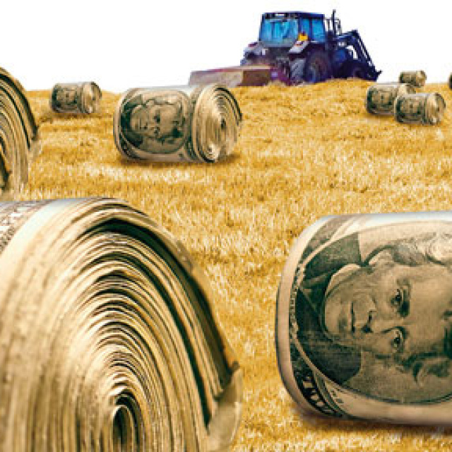 Tarımda 500 milyon dolarlık Süper El Nino bahsi